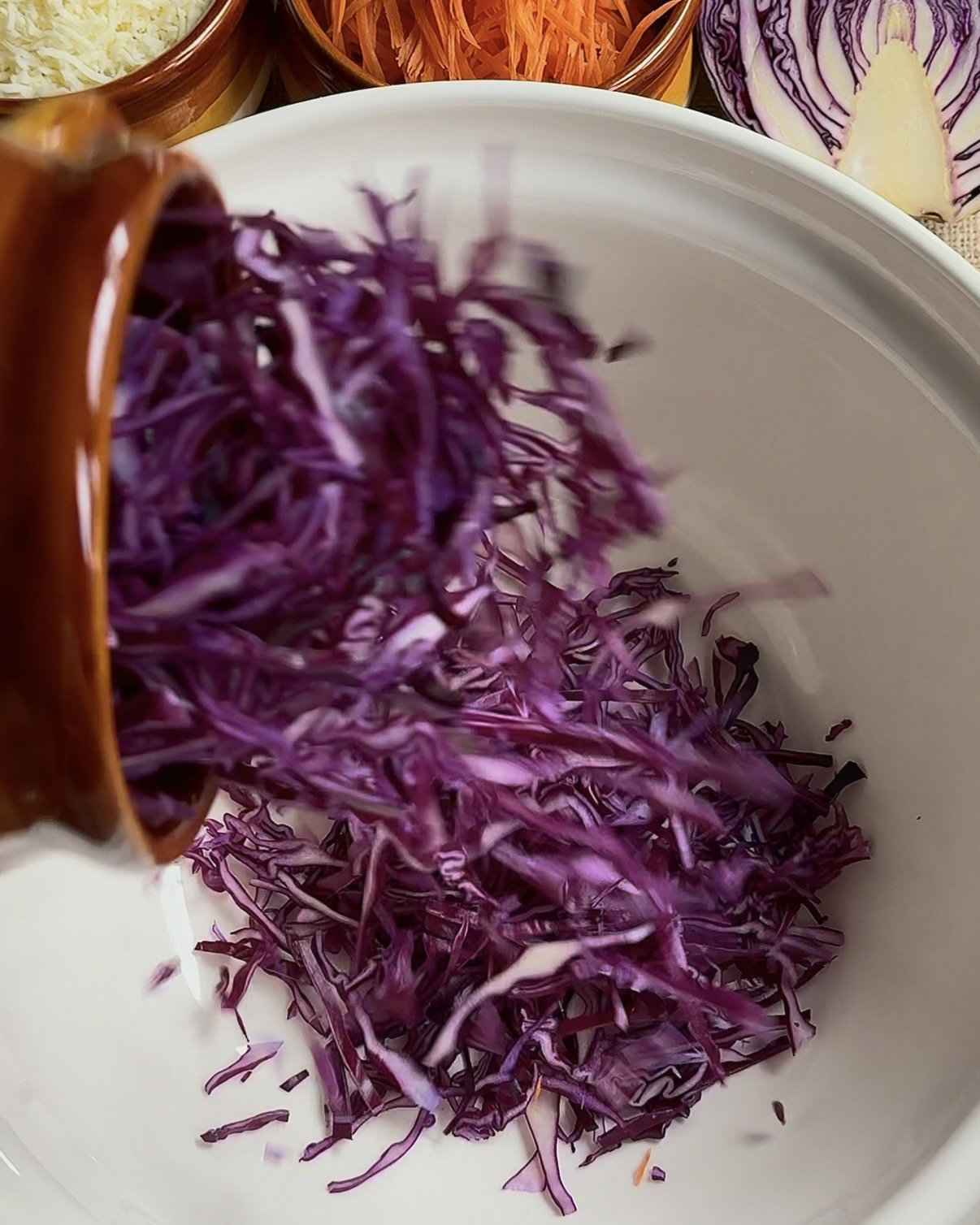 Step 2.1: Mix purple cabbage, carrots, sour cream, garlic granules, chives, and salt in a bowl until combined