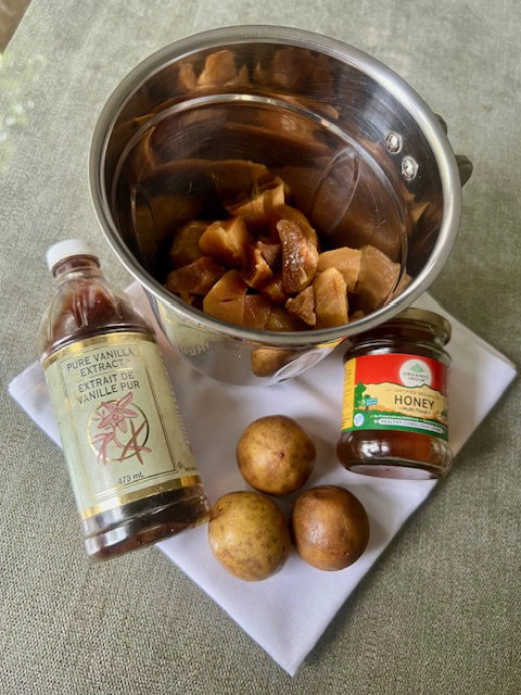 Step 2.1: Add the sliced chikoo, milk, honey (if using), vanilla extract, and lemon zest to a blender
