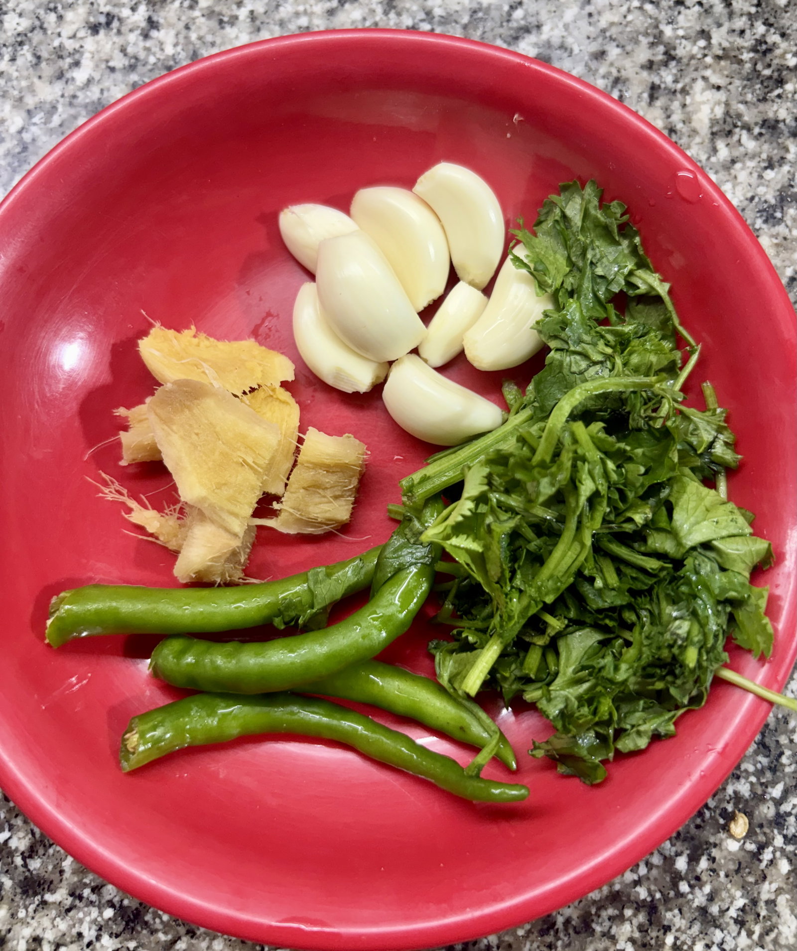 Step 2.1: Blend the garlic, ginger, green chillies, coriander leaves, and ½ cup water into a smooth green paste