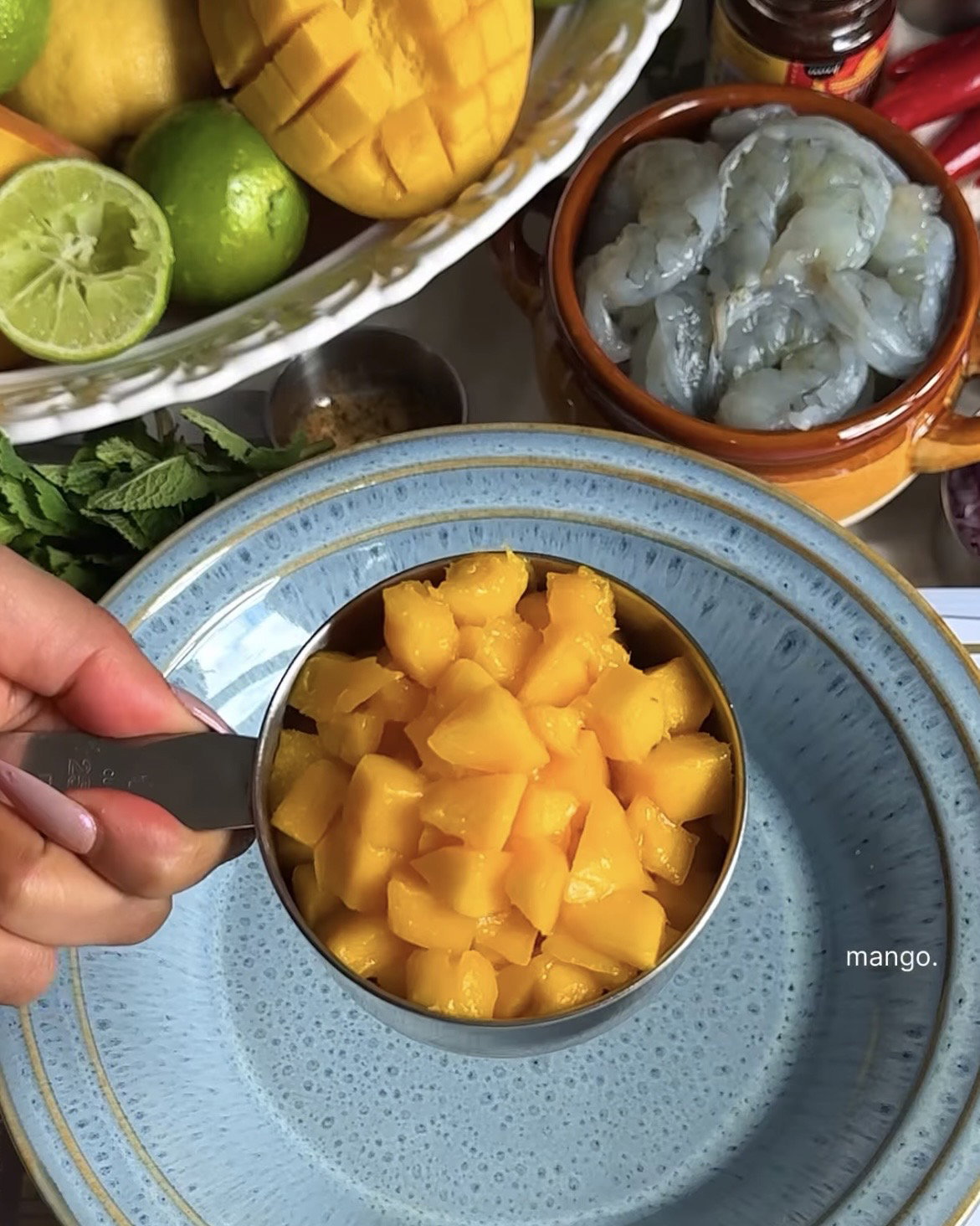 Step 2.1: Mix the mango, red onion, red chilli peppers, chopped coriander, ground cumin, lime juice, and salt until combined