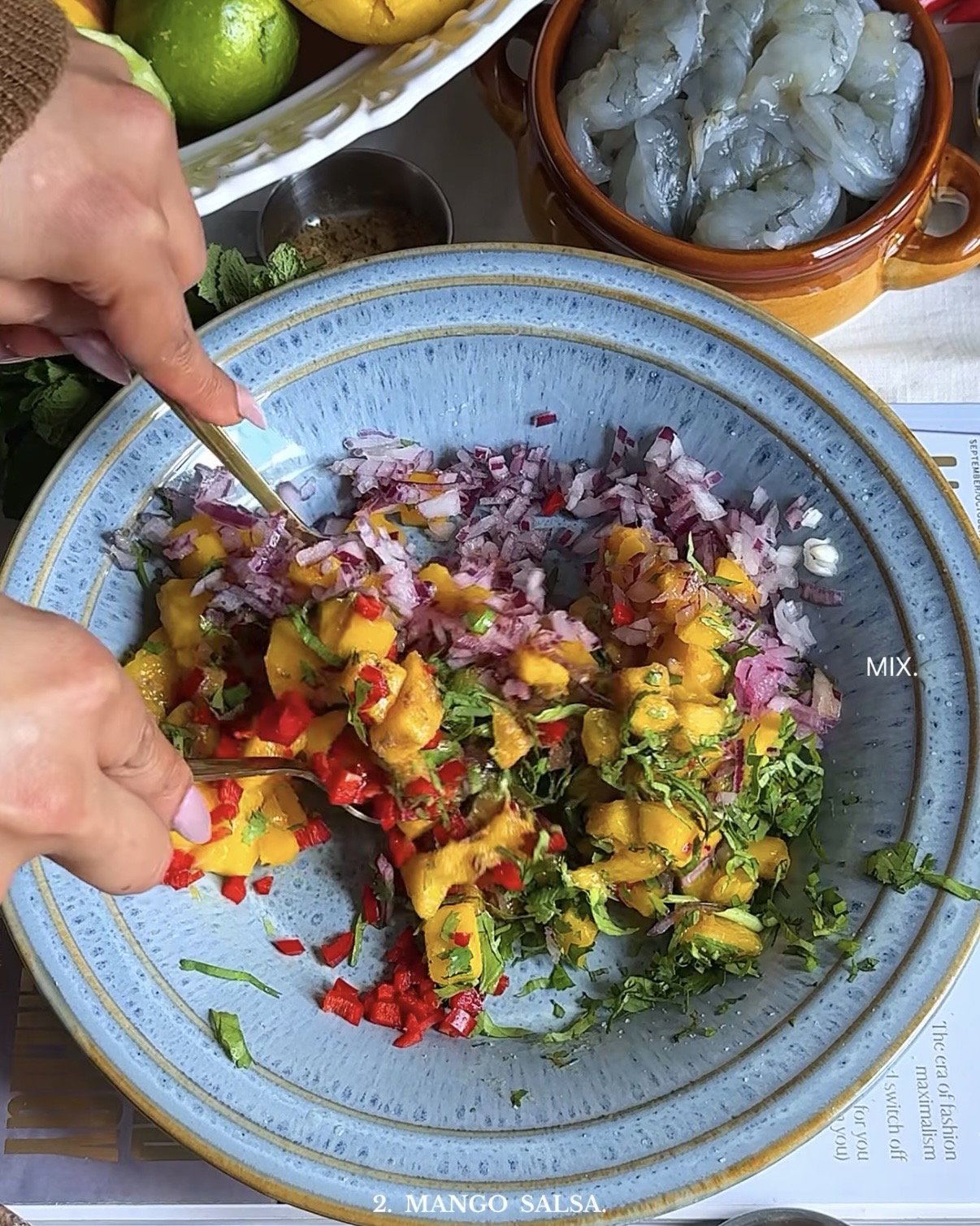 Step 2.4: Mix the mango, red onion, red chilli peppers, chopped coriander, ground cumin, lime juice, and salt until combined
