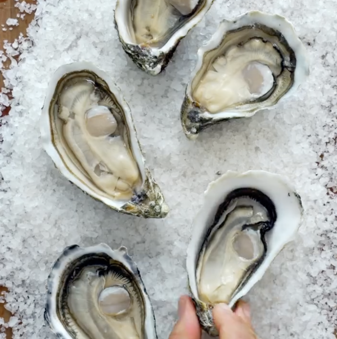 Step 1.1: Open the oysters, detach the muscle, and set them on coarse salt to keep them upright and stable