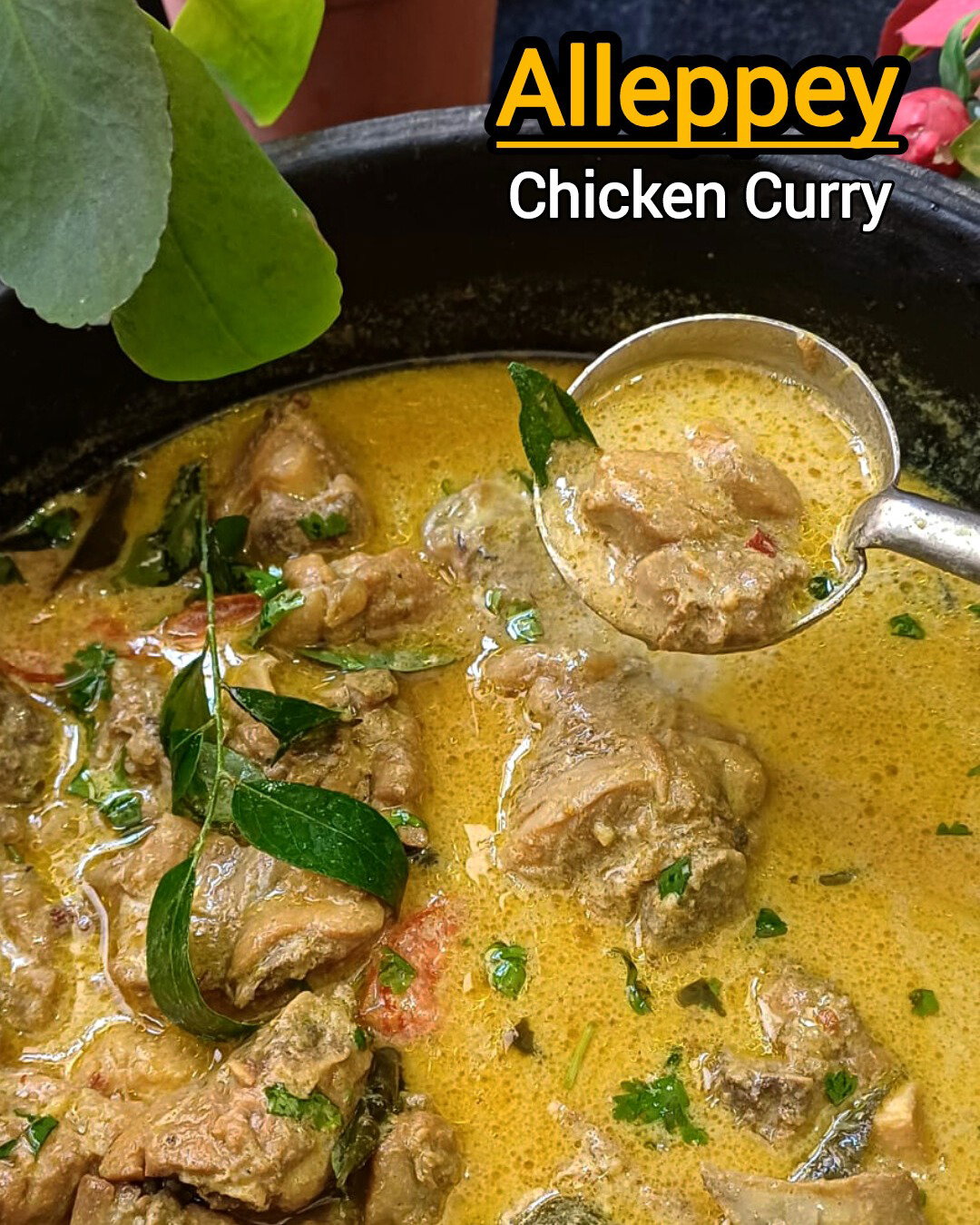 Paragon Style Alleppey Chicken Curry recipe