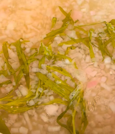 Step 3.1: Simmer over medium heat until the liquid is reduced to half its original volume