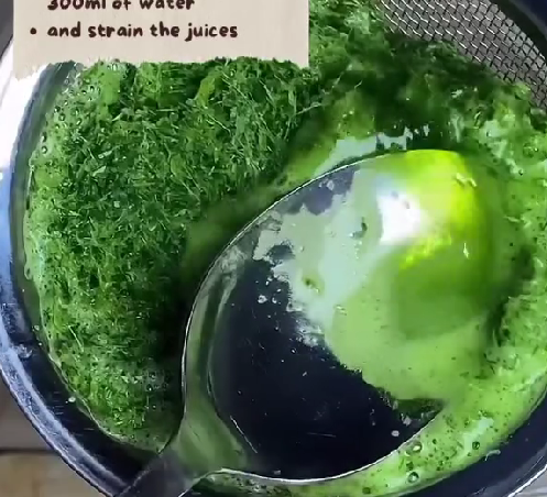 Step 1.1: Strain the blended mixture to extract the pandan juice