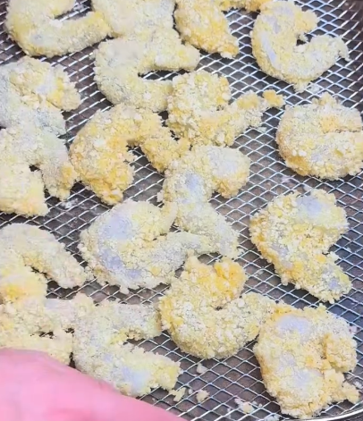 Step 1.1: Arrange the shrimp in a single layer in the air fryer basket