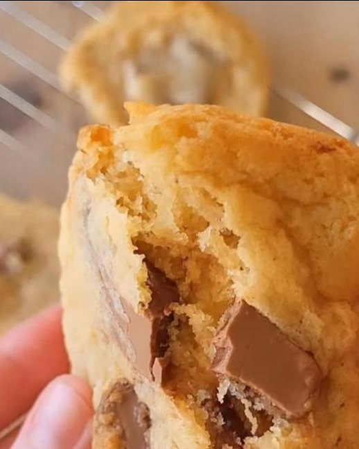 Choc Olive Oil Cookies recipe