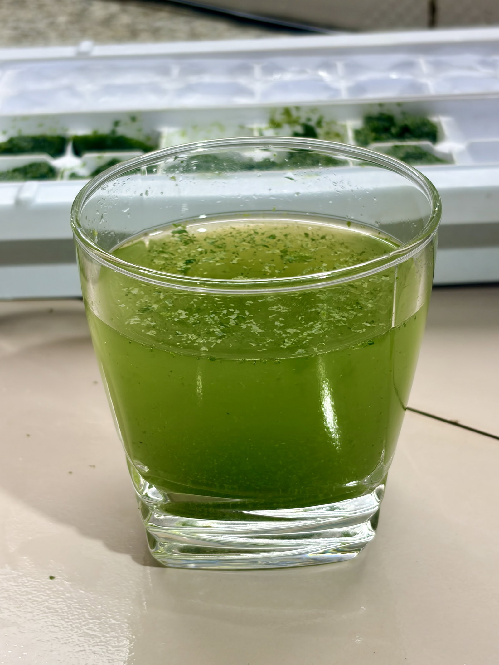 Step 1.1: Simply drop 1–2 cubes directly into whisked curd for instant raita, or stir them into water or soda for a refreshing mint drink or as a flavoured dip