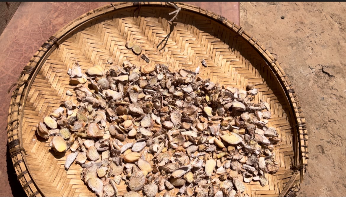 Step 1.1: Place the tray in direct sunlight for several days, turning the slices once or twice daily until they become completely dry and brittle