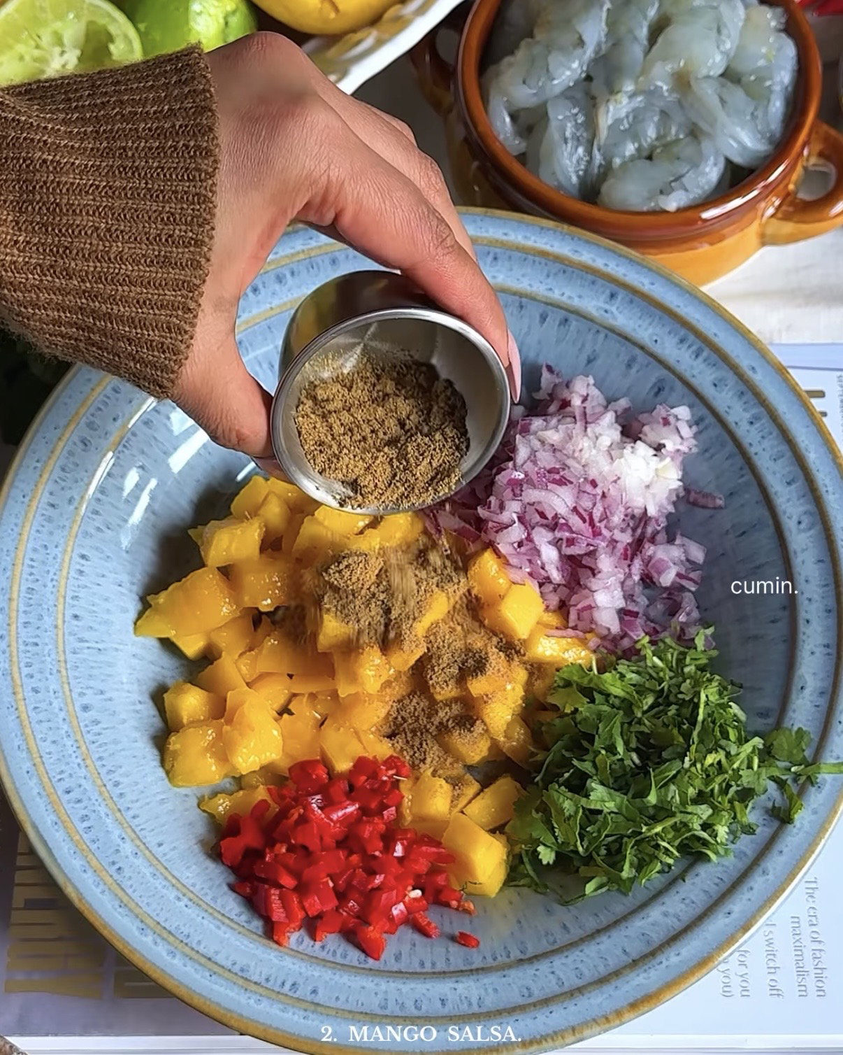 Step 2.3: Mix the mango, red onion, red chilli peppers, chopped coriander, ground cumin, lime juice, and salt until combined