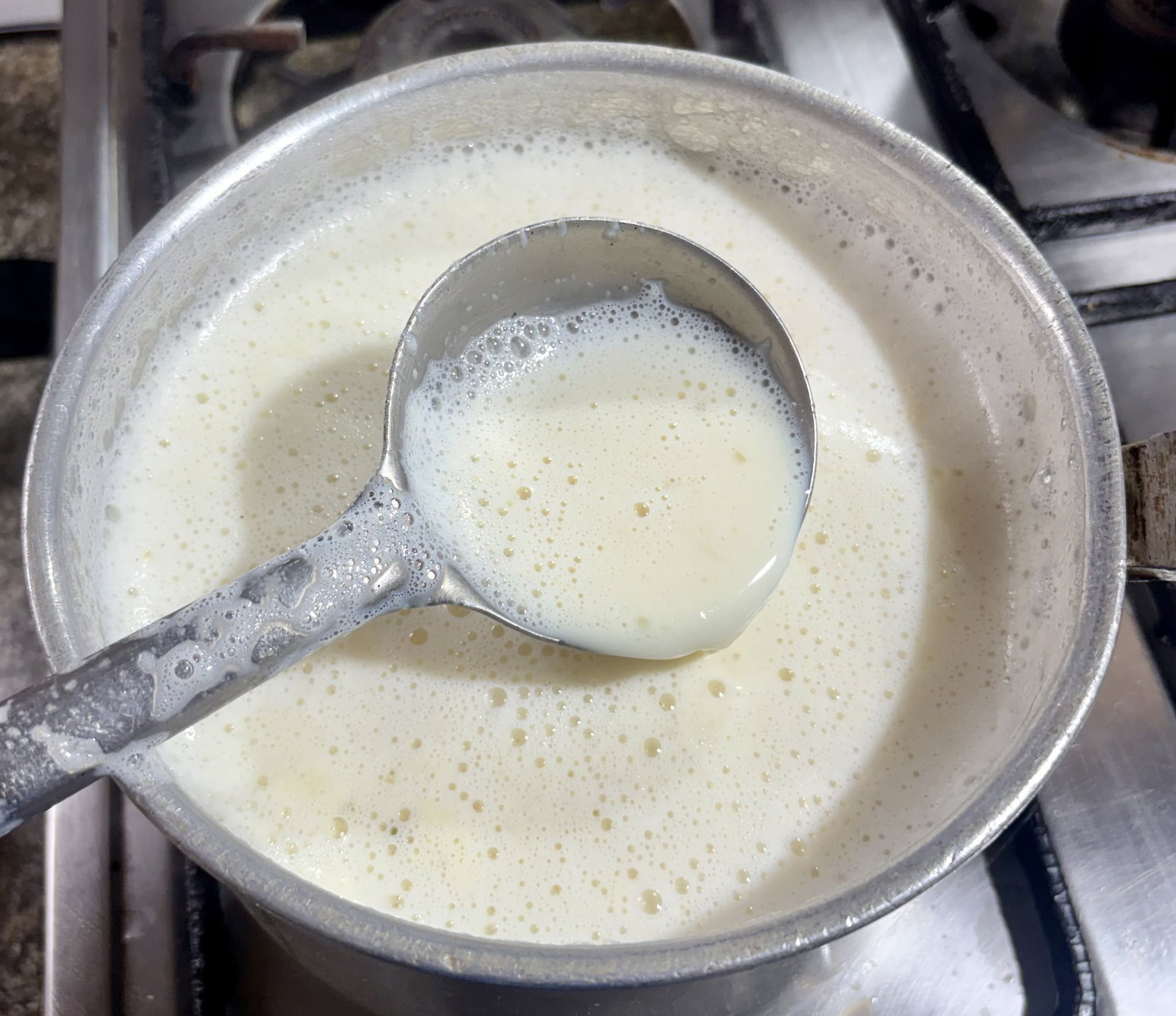 Step 1.2: Bring the full-fat milk to a gentle boil in a heavy-bottomed pan