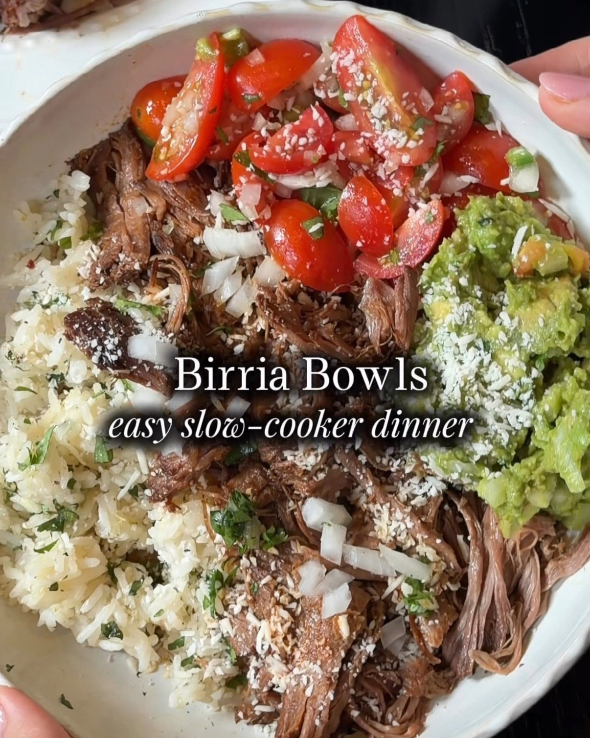 Birria Beef Bowls with Cilantro Lime Rice recipe